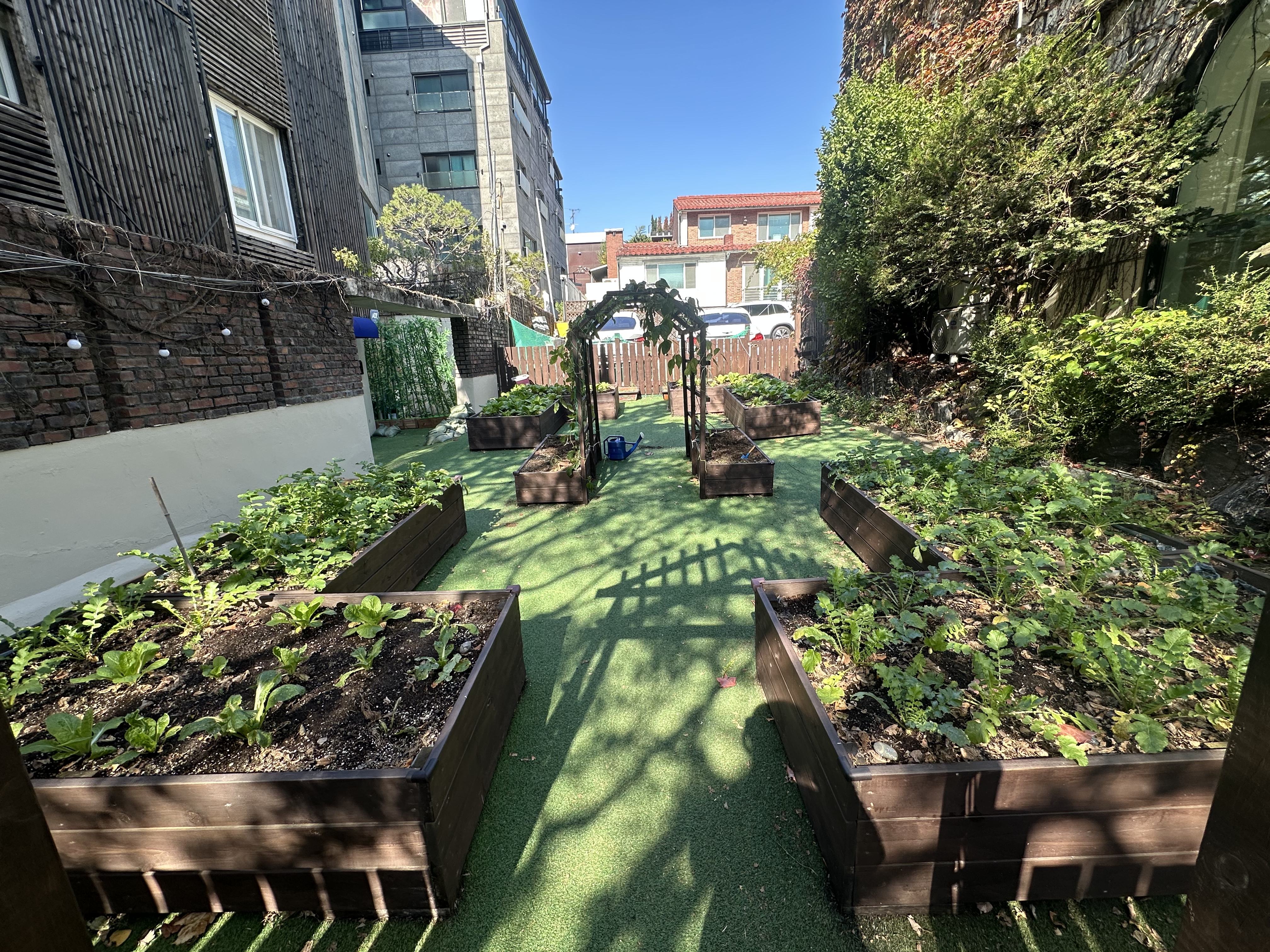 garden 8